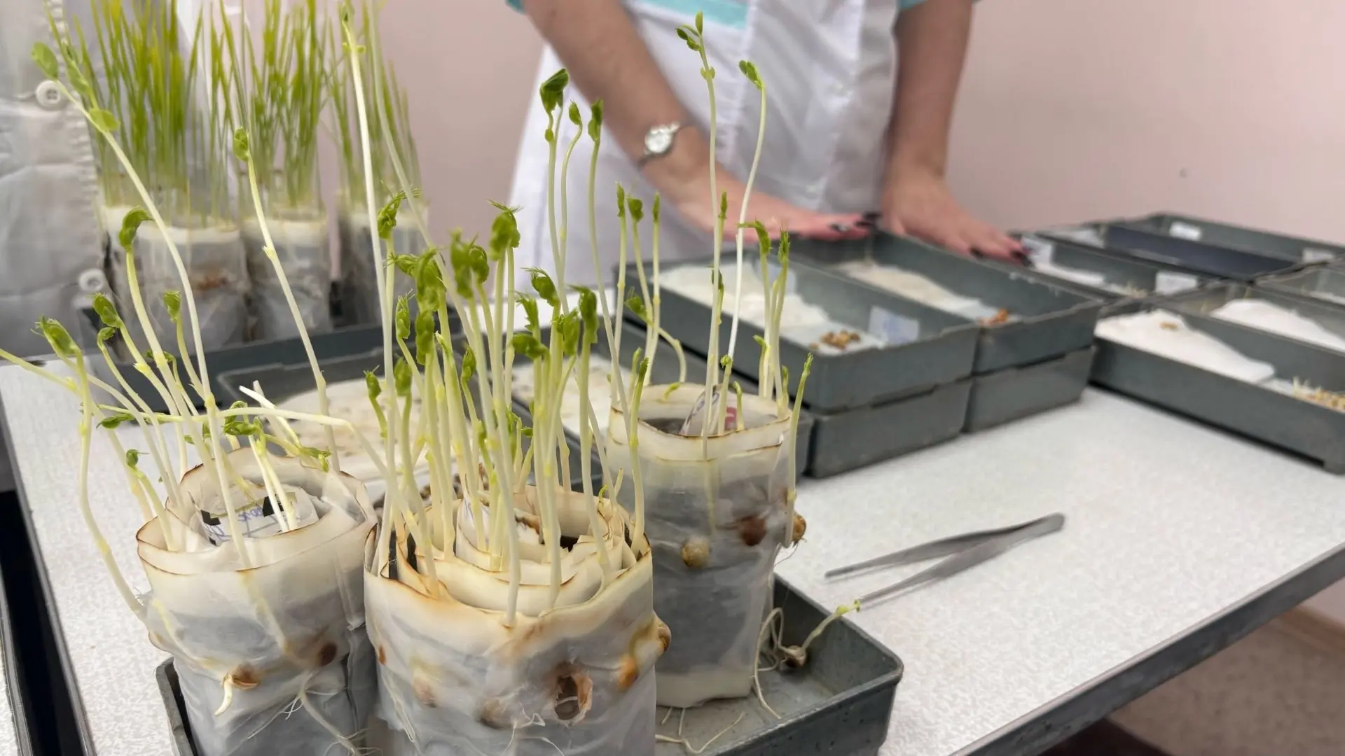 5fdf55c3-eda7-4c1f-a79d-2b1911ec52e0