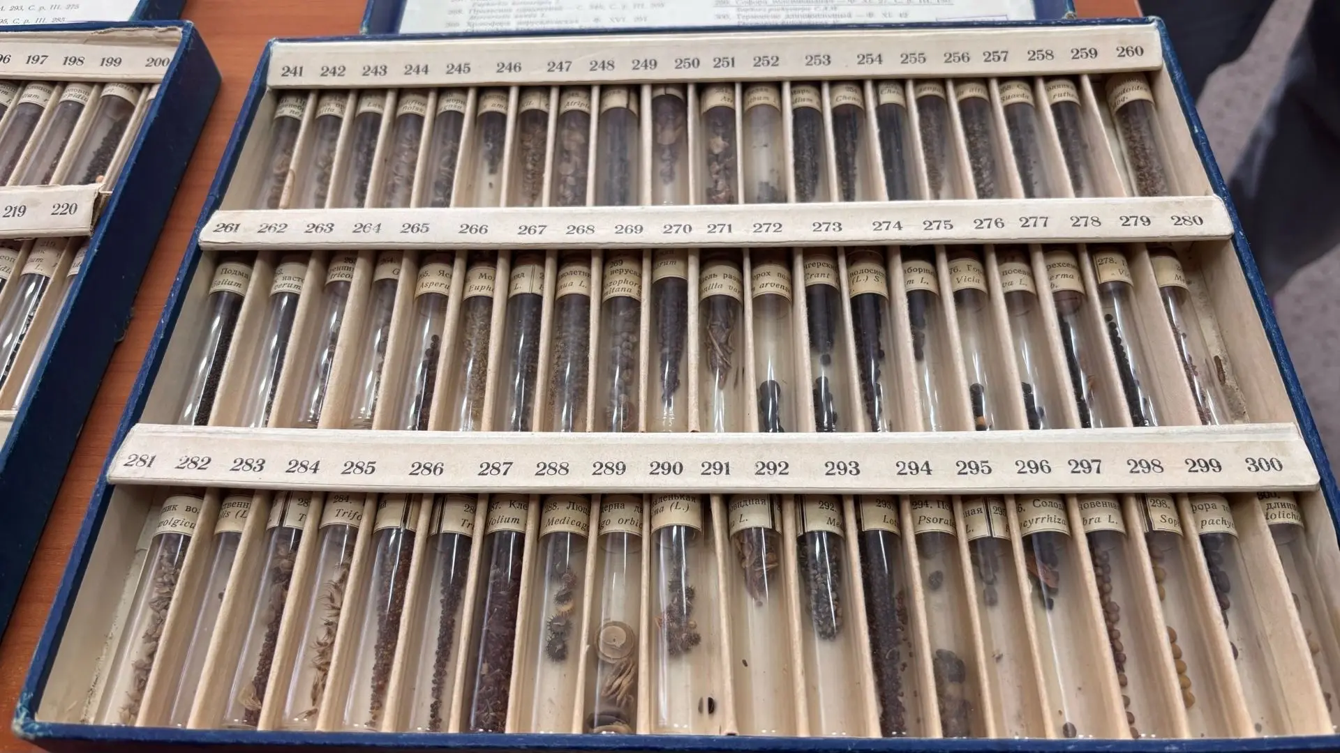 ccf08200-1291-4d1c-a175-eaaf040f7509